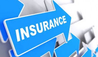 Types of Insurance policies covered by Credit Guarantee Insurance Companies.
