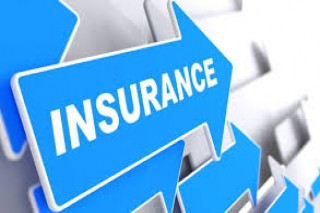 Types of Insurance policies covered by Credit Guarantee Insurance Companies.